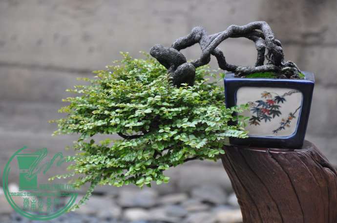 2011.08.31.UL^so.ϲg@һ..Ǳ.jpg