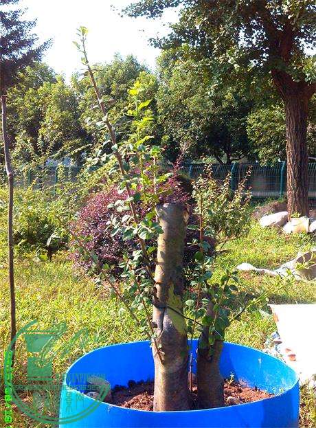 ѻ36IMG_20150819_082809_ͼ_ͼ.jpg