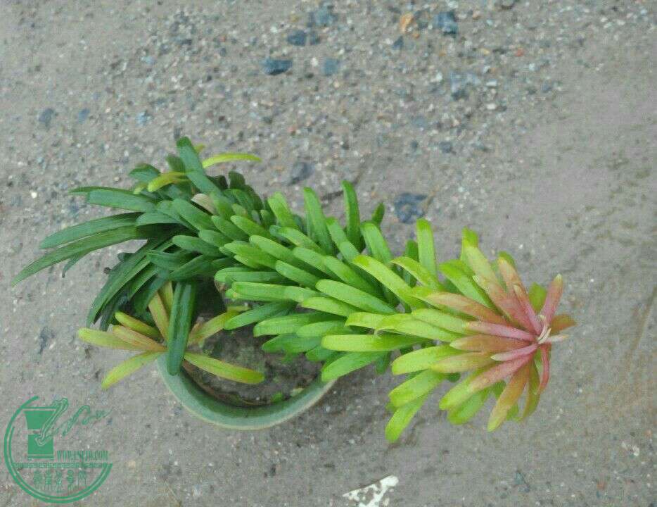 QQͼƬ20150901213927.jpg
