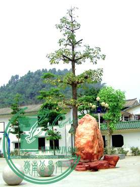 100_1838.jpg