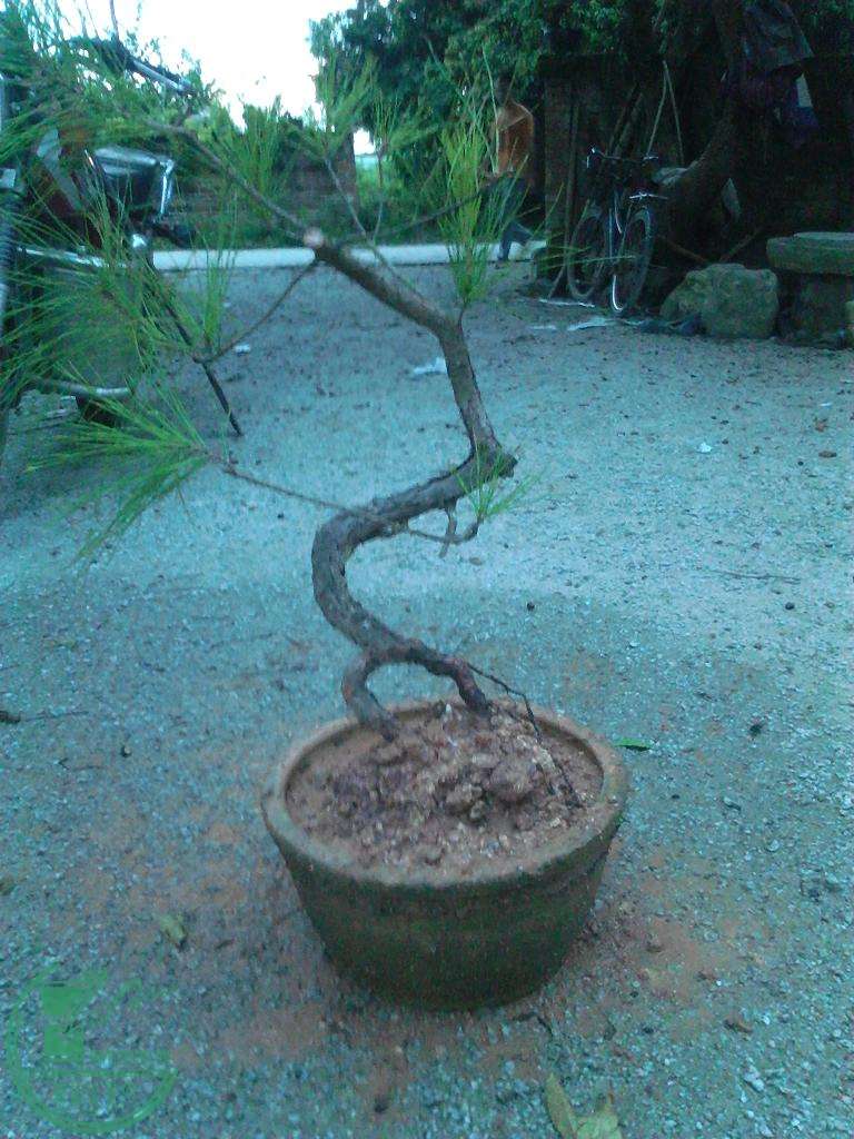  YP20150903183320.jpeg