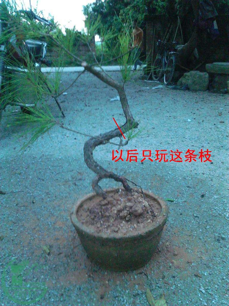   YP20150903183320.jpeg