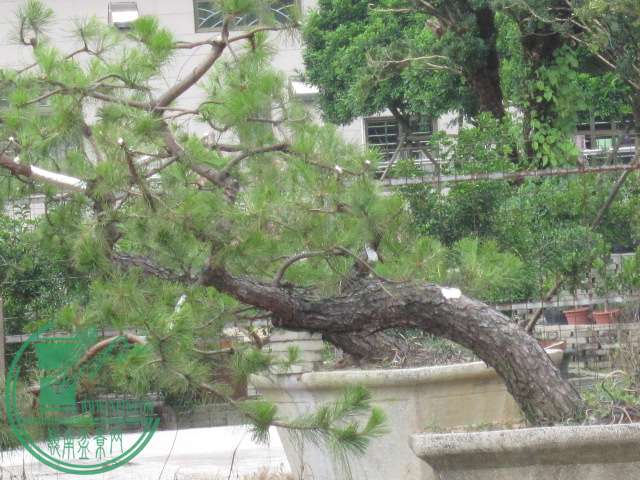 IMG_9723.JPG
