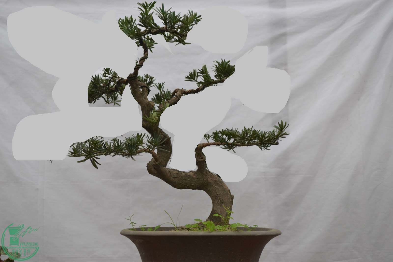 810a19d8bc3eb135fcc55c25a71ea8d3fd1f442a - .jpg