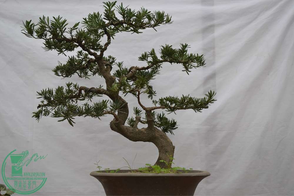 810a19d8bc3eb135fcc55c25a71ea8d3fd1f442a (2).jpg