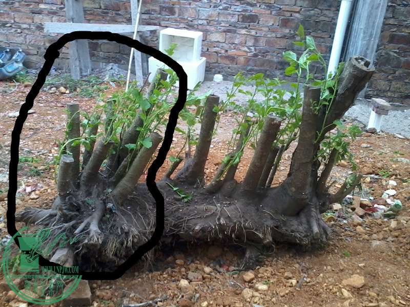 2015-03-07 17.53.48_.jpg