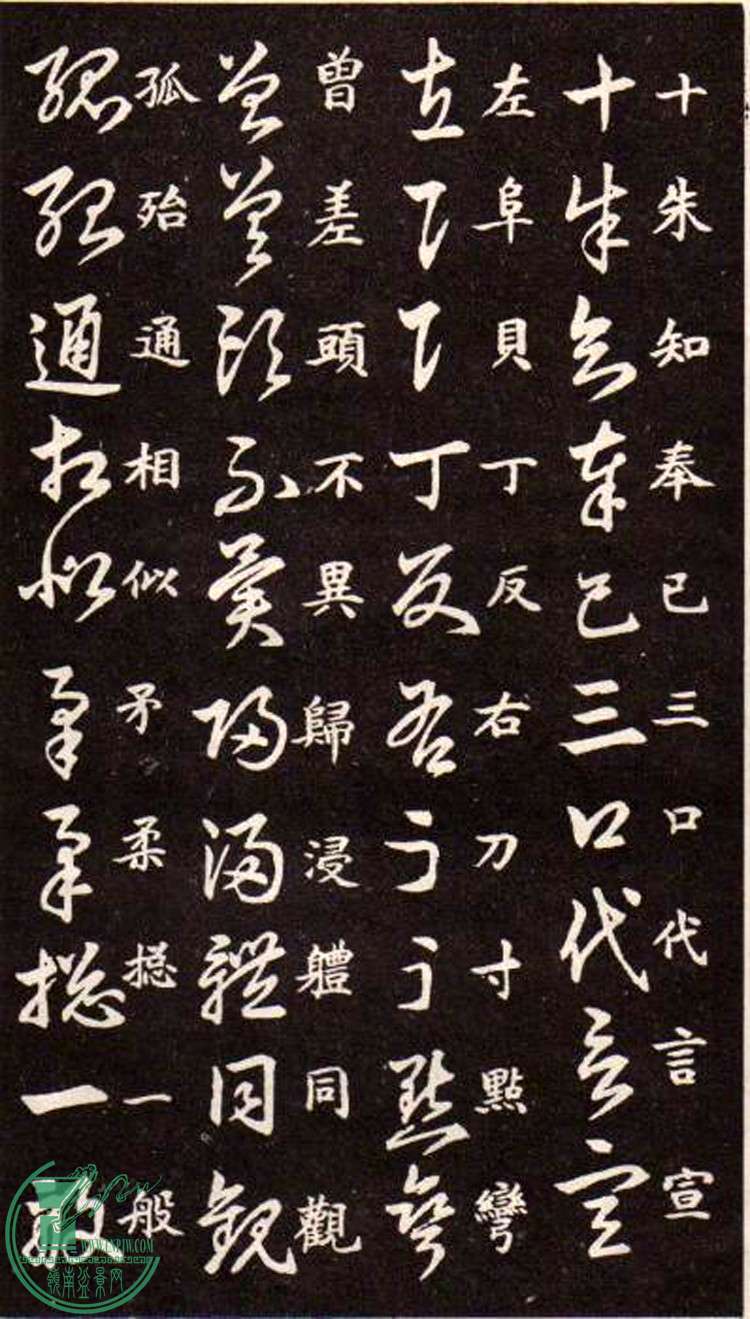 47443862_4.jpg