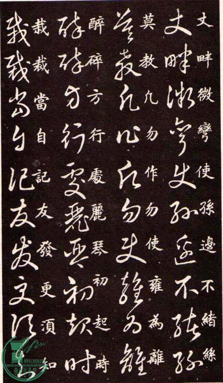 47443862_12.jpg