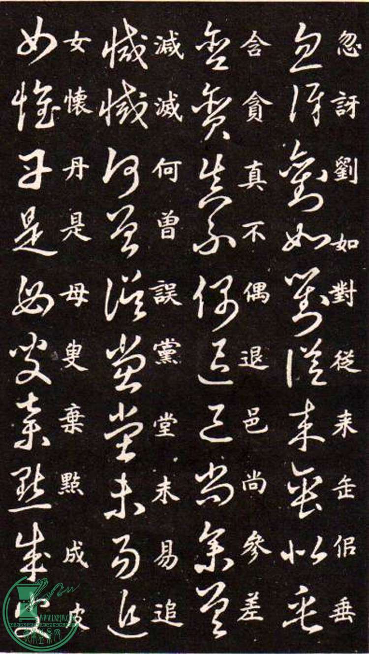 47443862_13.jpg