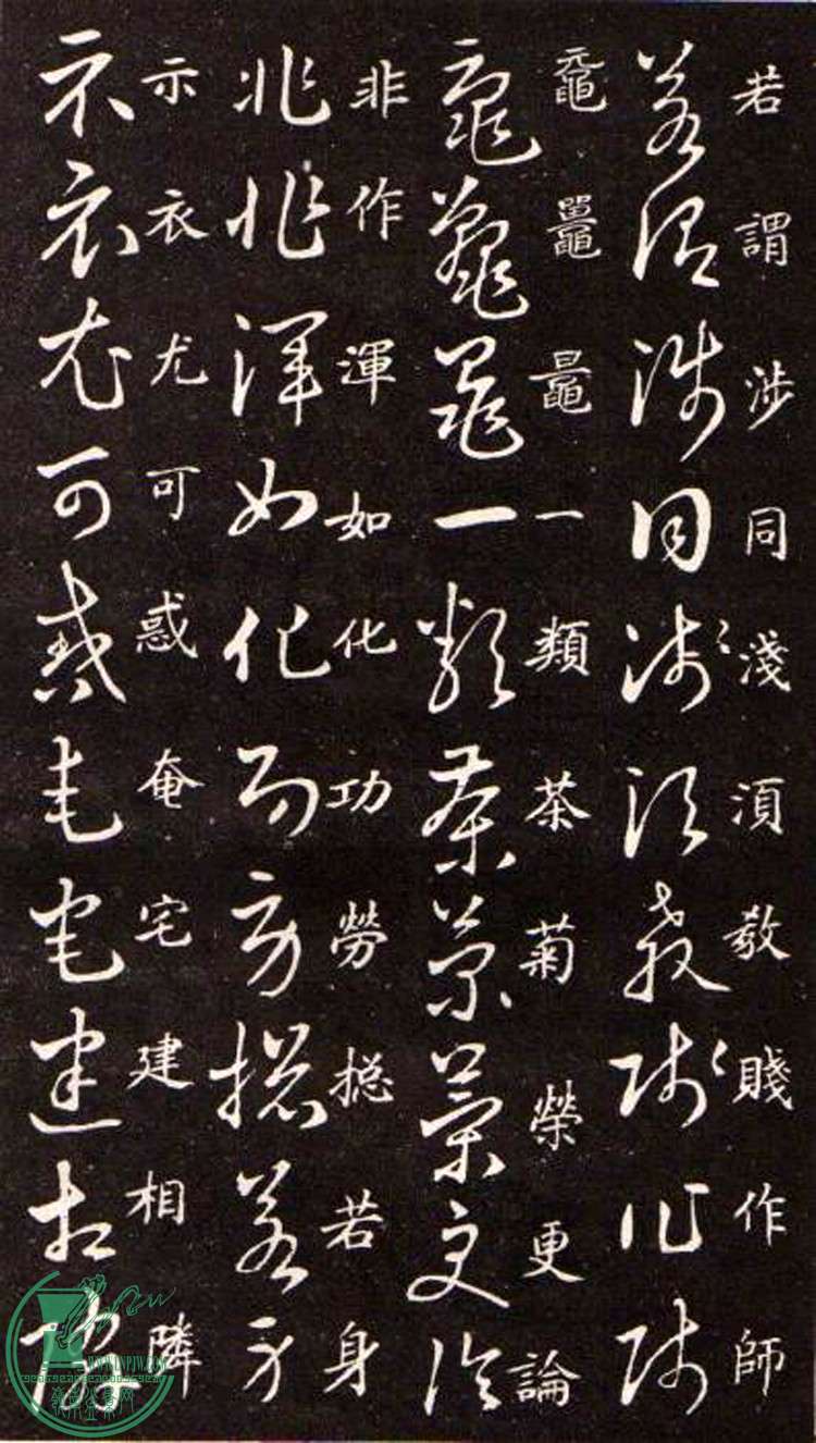 47443862_14.jpg