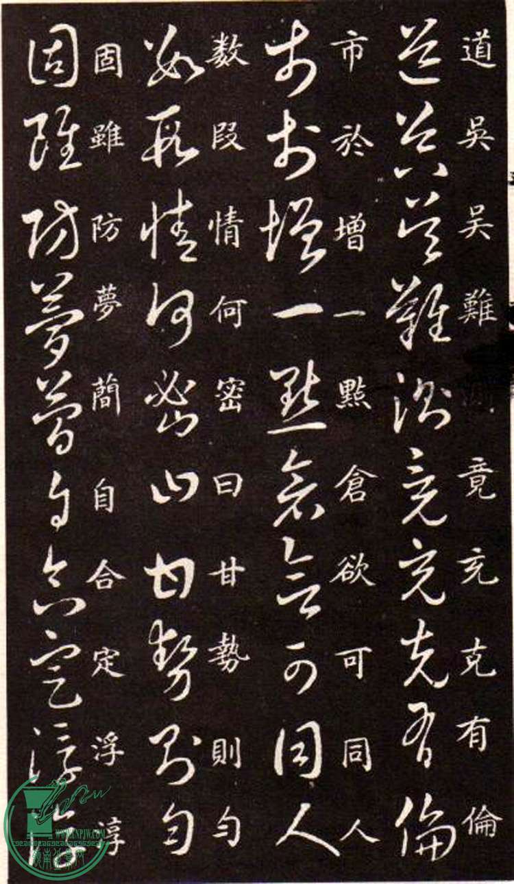 47443862_15.jpg