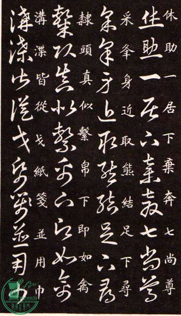 47443862_18.jpg