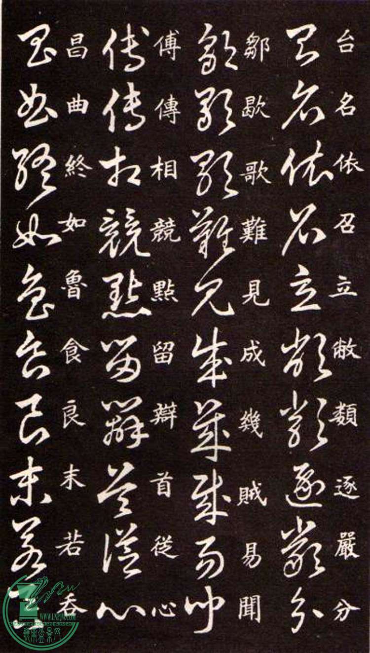 47443862_21.jpg