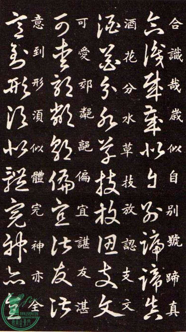 47443862_22.jpg
