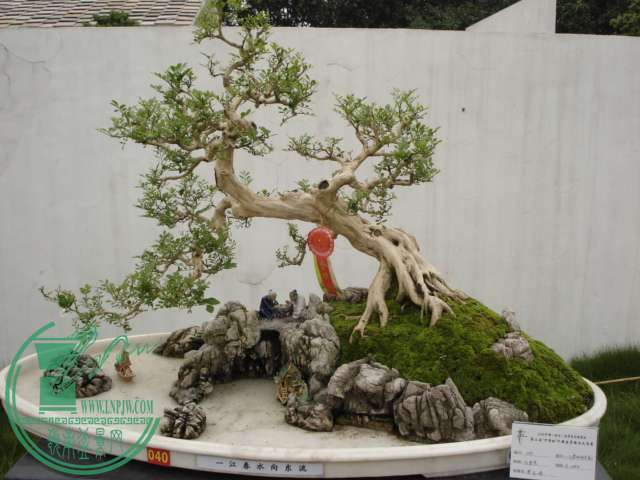 DSC02176.JPG