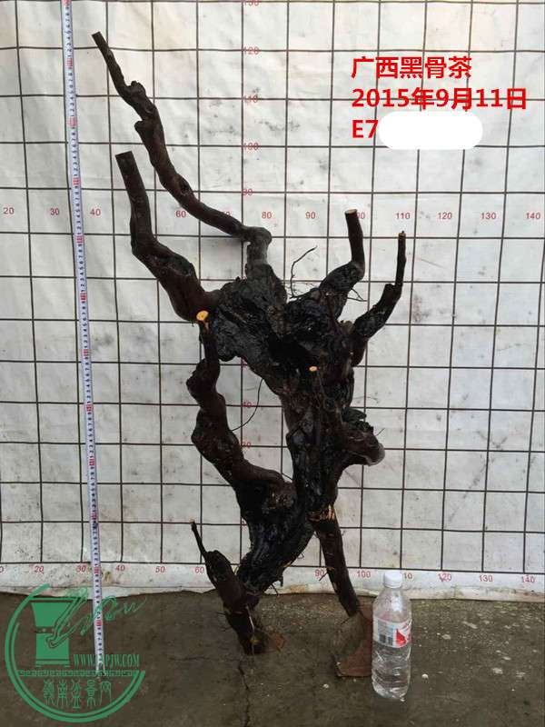 QQͼƬ20150911214429__.jpg