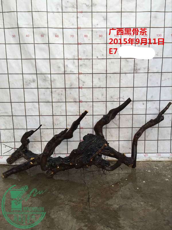 QQͼƬ20150911214707__.jpg