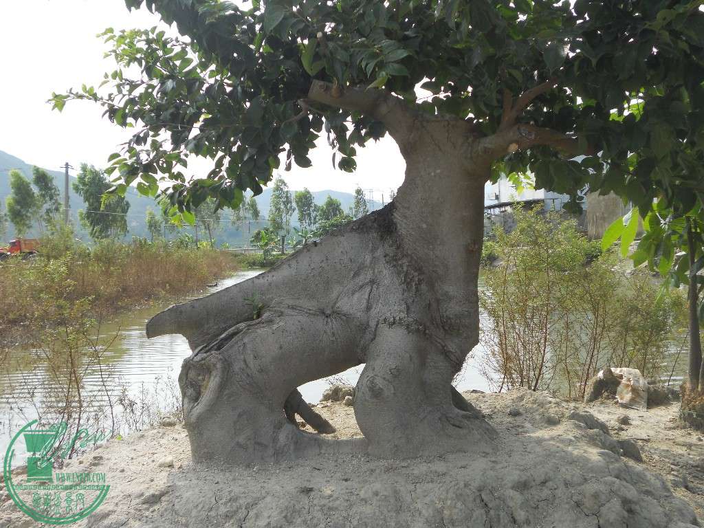 1.JPG
