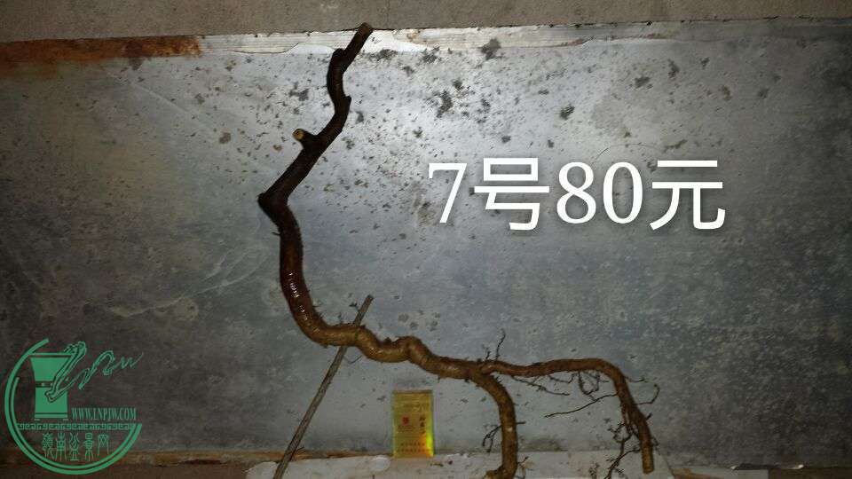 QQͼƬ20150913212814.jpg