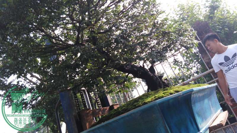 IMG_20150915_084904_СС_СС.jpg