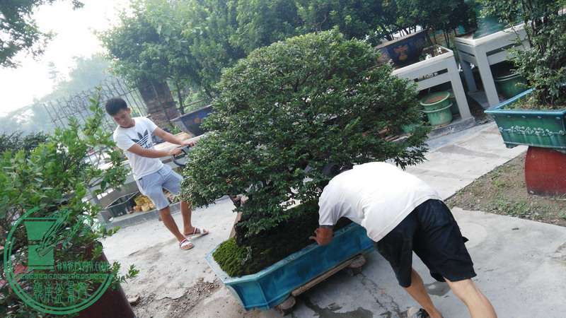 IMG_20150915_083651_СС_СС.jpg
