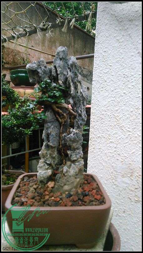 ʯ2.jpg