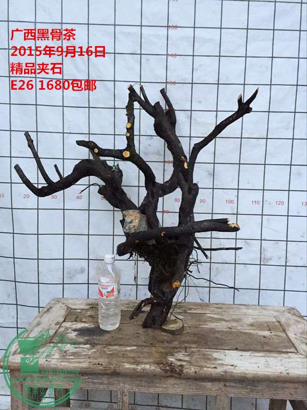 QQͼƬ20150916185826_.jpg