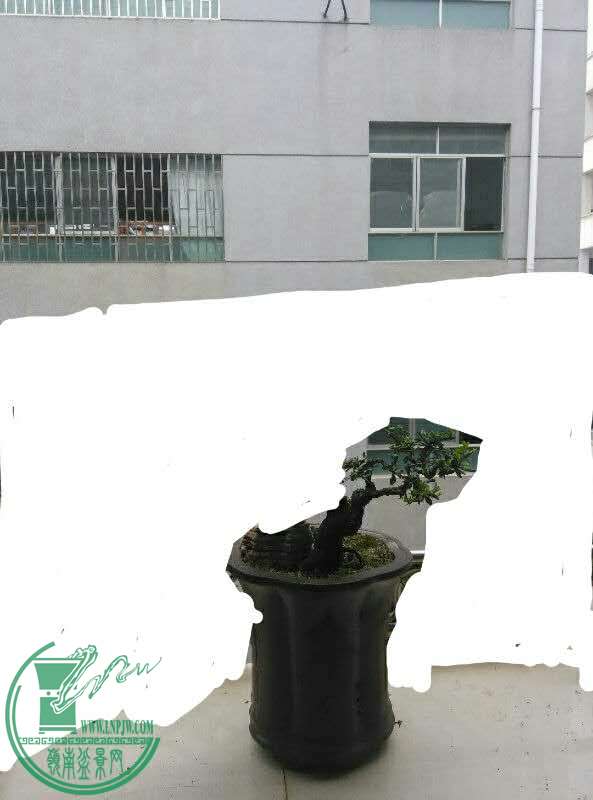 mmexport1442497264190.jpg