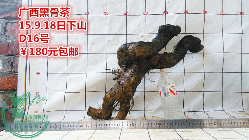 IMG_20150918_172329_.jpg
