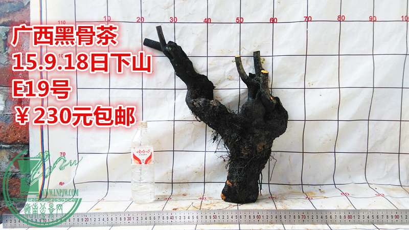 IMG_20150918_173419_.jpg
