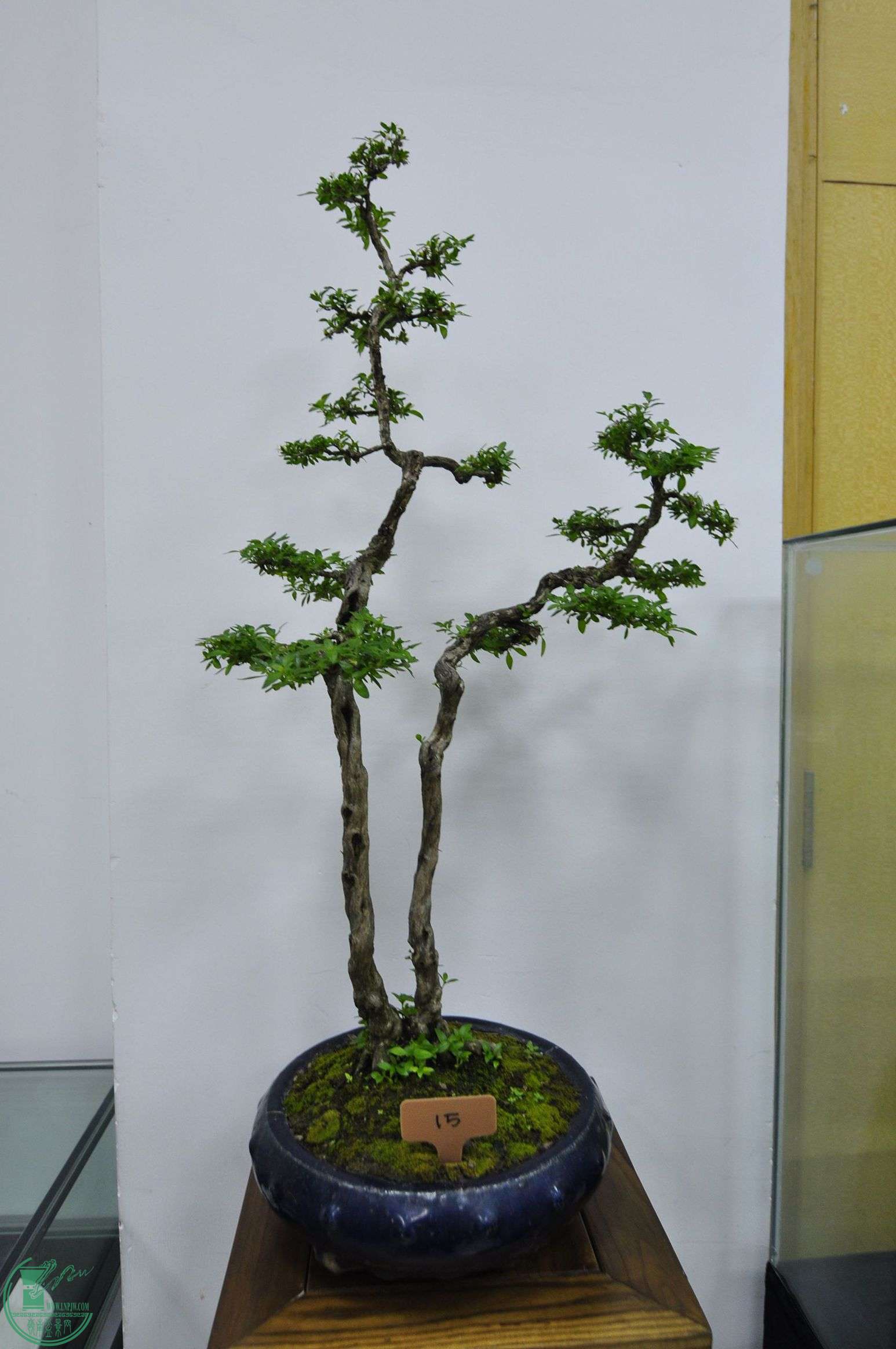 _DSC0306.JPG