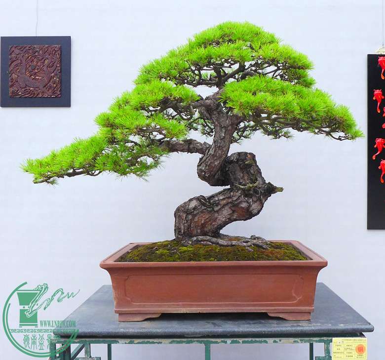 P1110474.JPG