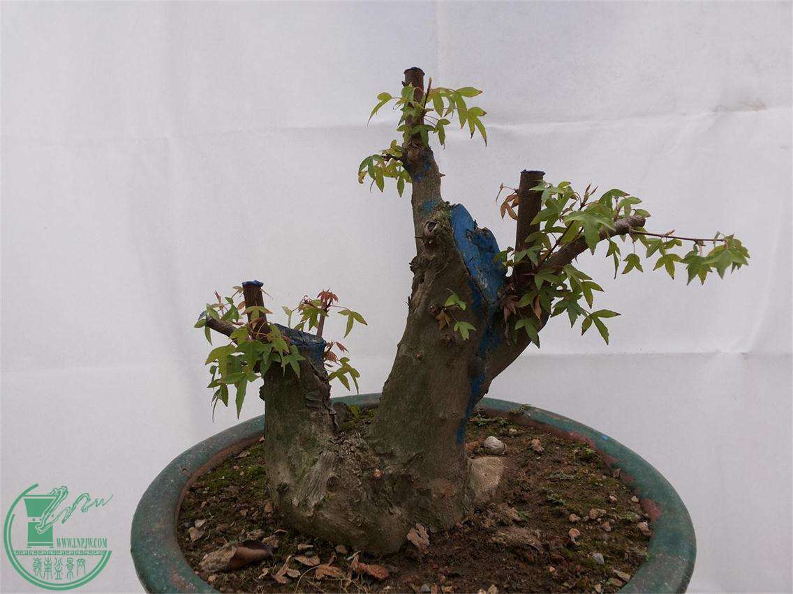 20150922_150731.jpg