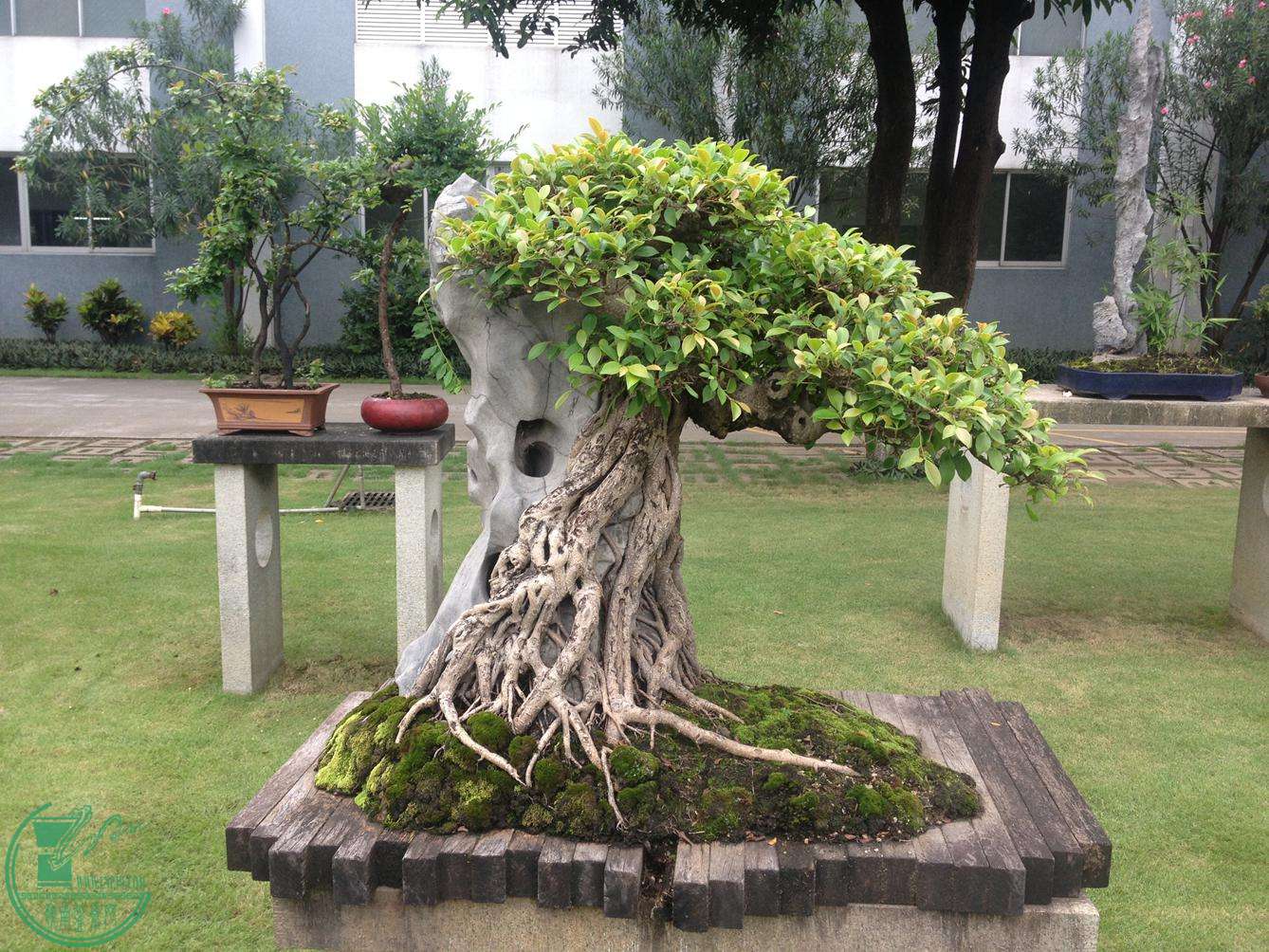 25.JPG