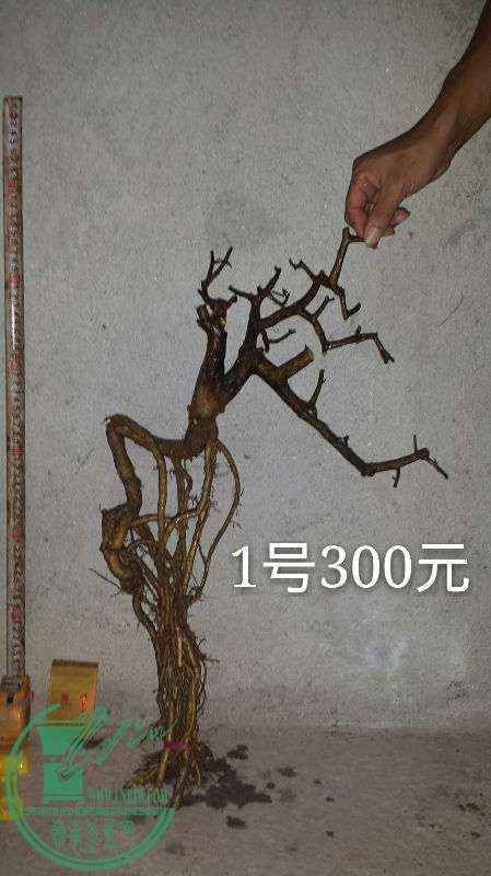685405