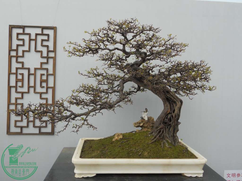DSCN1501.JPG