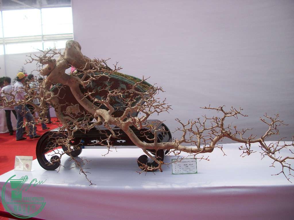 100_1709.JPG
