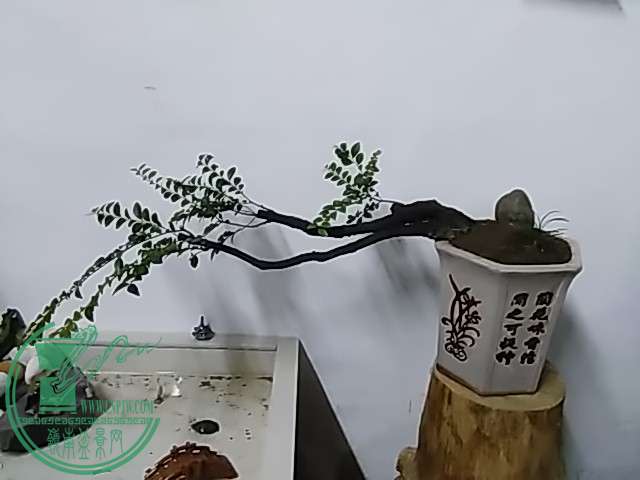 IMG_20150919_183225.jpg