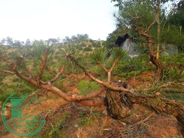 20150929_173304.jpg