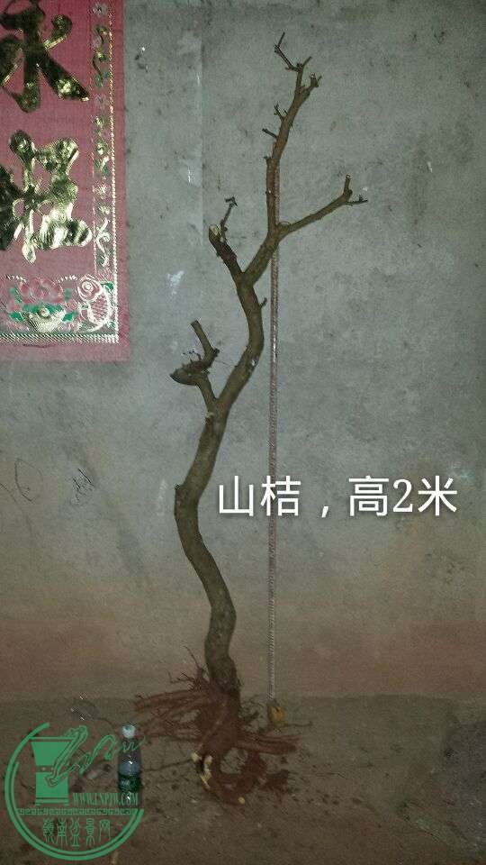 QQͼƬ20150930213605.jpg