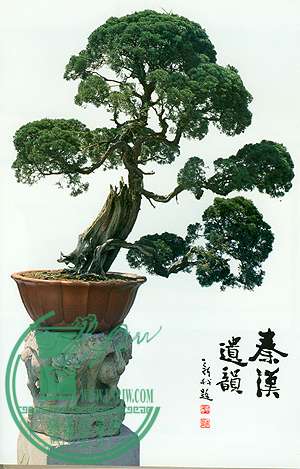 20061.jpg