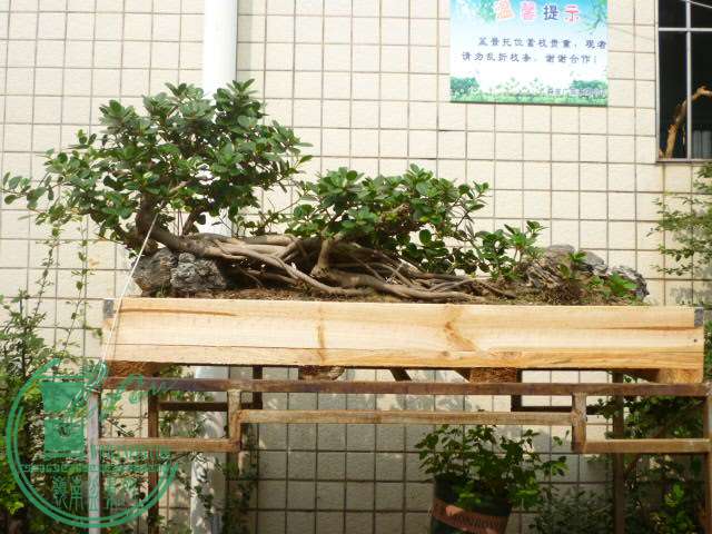 P1080547.JPG
