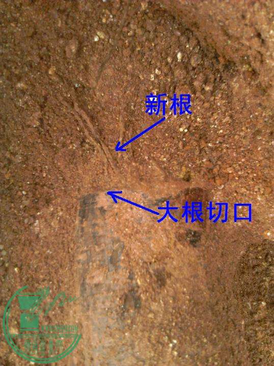  YP20151001164543.jpeg
