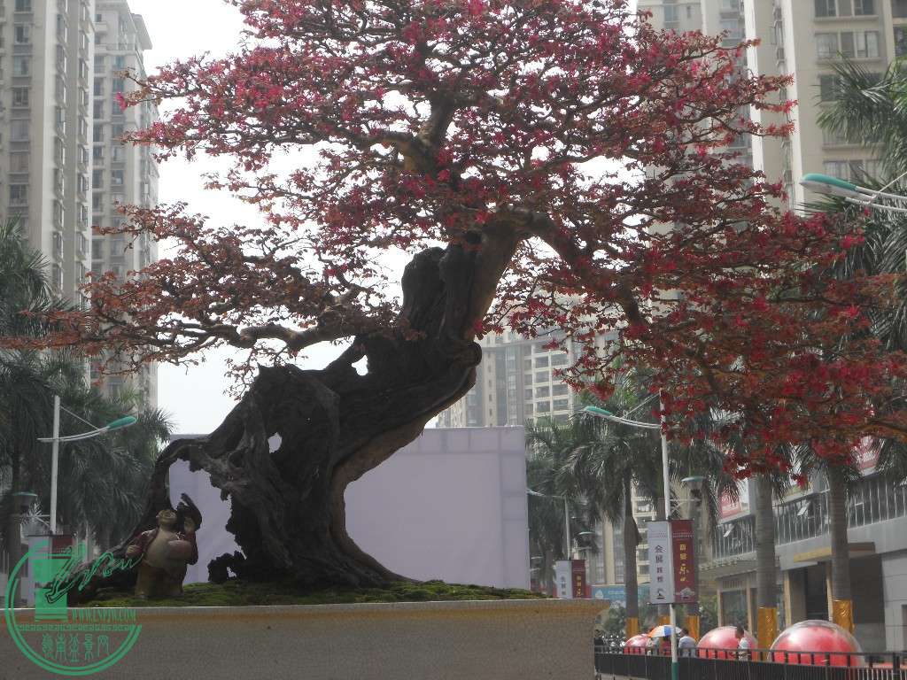 DSCN0921.JPG