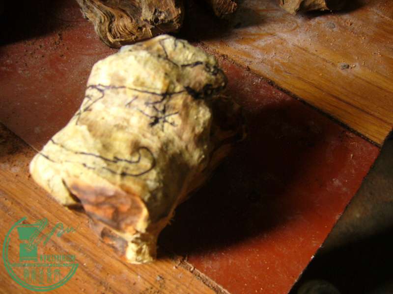 05.jpg