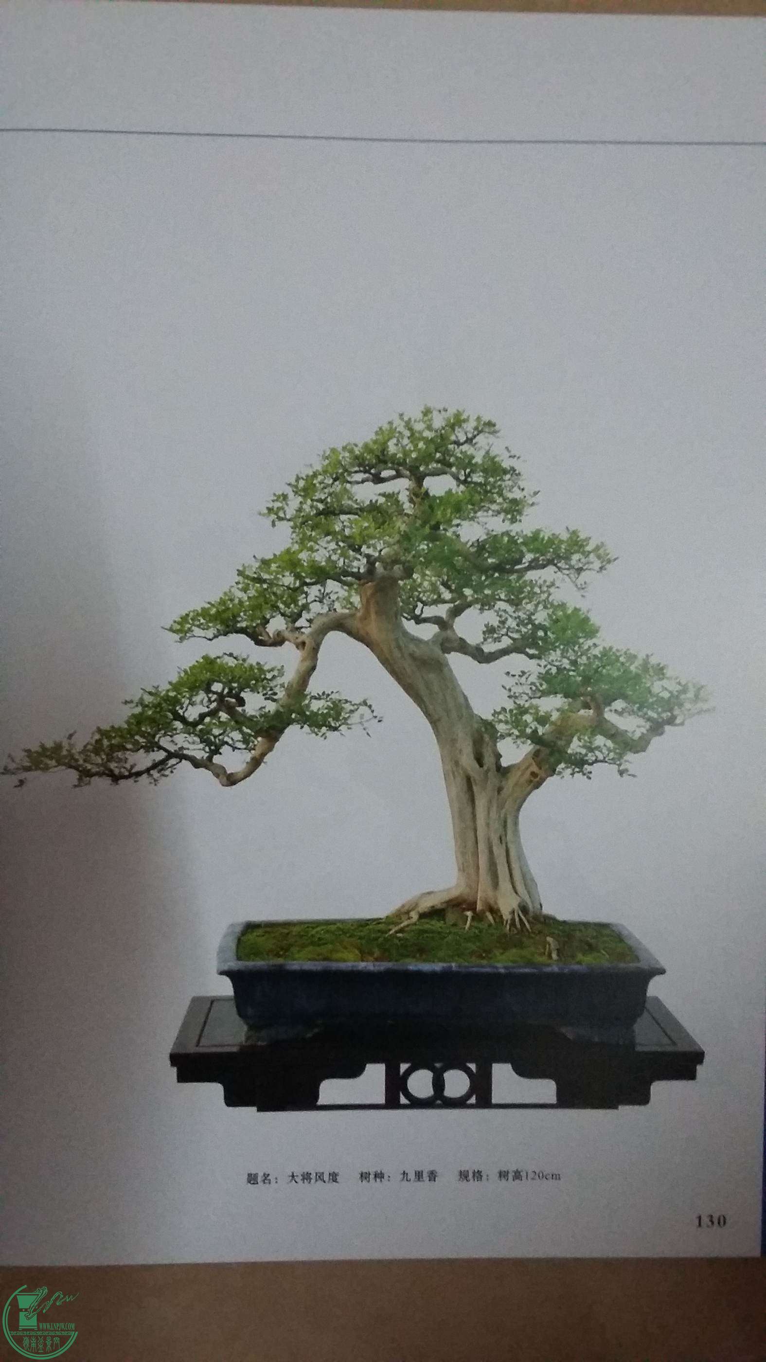 1042872950.jpg