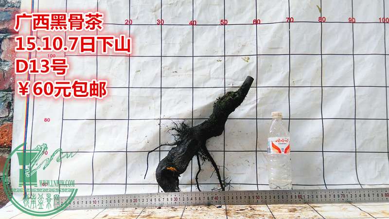 IMG_20151007_151025_.jpg