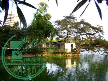 PICT1557.jpg