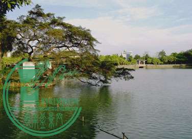 DSCN9934.jpg