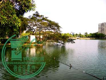 DSCN9935.jpg
